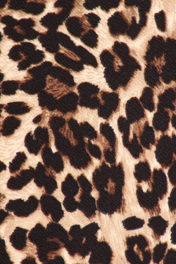 Nadia Plus Size Leopard Flare Sleeve Pullover Top | AeyrApparel.com