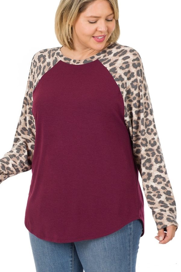 Zamiri Leopard Raglan Sleeve Jersey Style Pullover Top | AeyrApparel.com